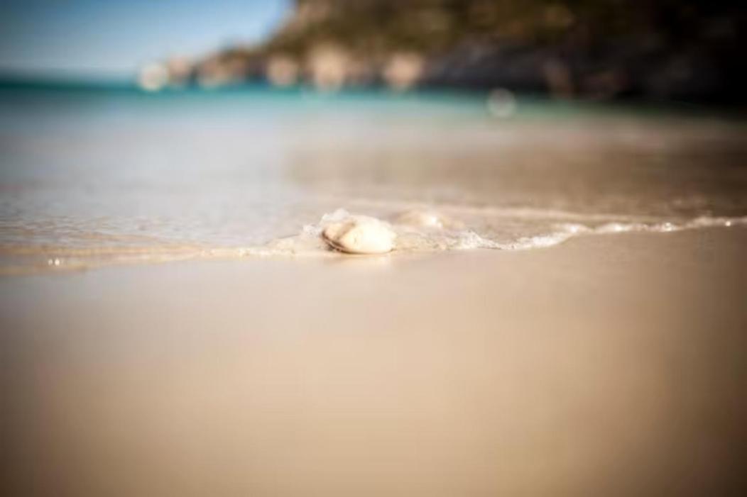 Vue Mer Plage Catalans Vieux Port Clim - 2 Chambres มาร์กเซย ภายนอก รูปภาพ